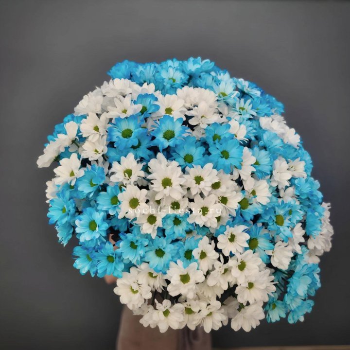  Букет хризантем микс в Мурманске