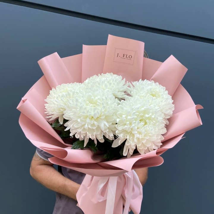 Профитроли №2 в Мурманске