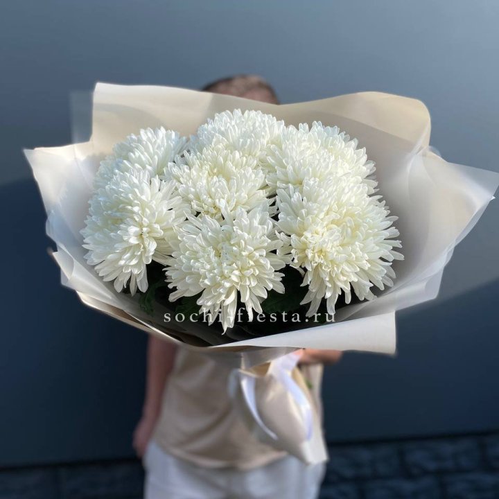 Профитроли в Мурманске