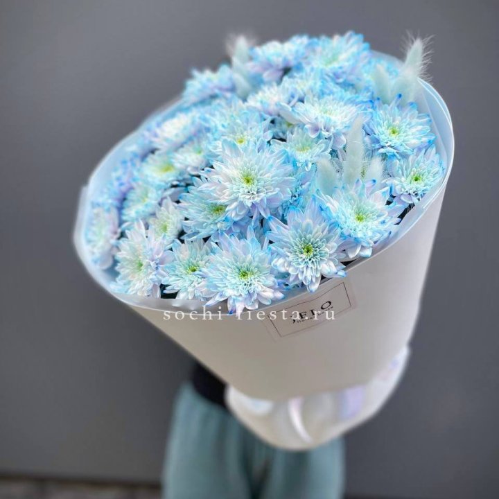  Букет нежно-голубых хризантем  в Мурманске