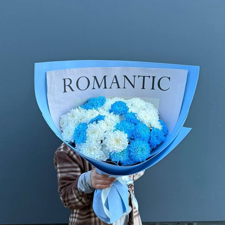 Дуо хризантем в Мурманске