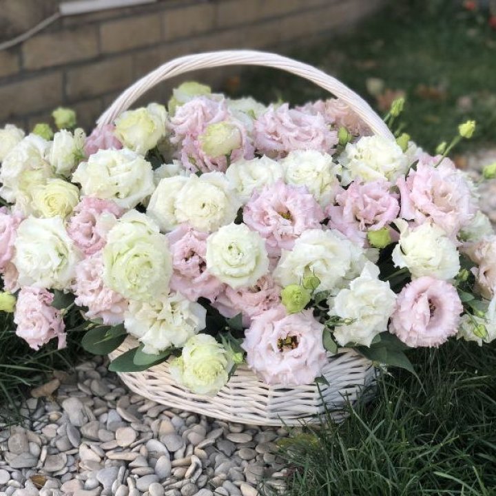 Корзина с эустомой в Мурманске