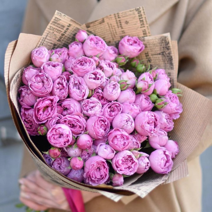 Роза Мисти Баблс в Мурманске