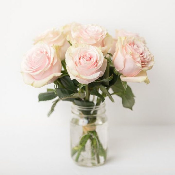 7 кремовых роз в Мурманске