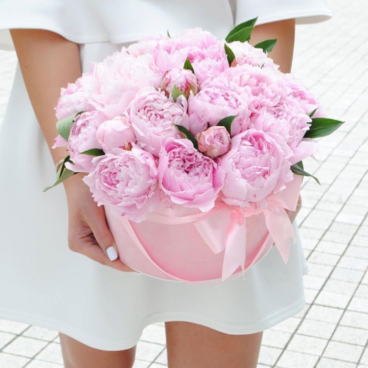 Пионы в шляпной коробке в Мурманске