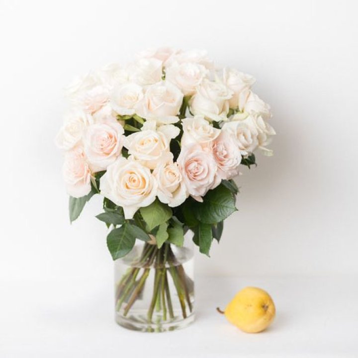 25 кремовых роз в Мурманске