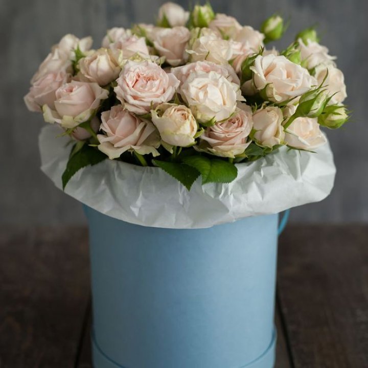 Бокс с бомбастиком в Мурманске