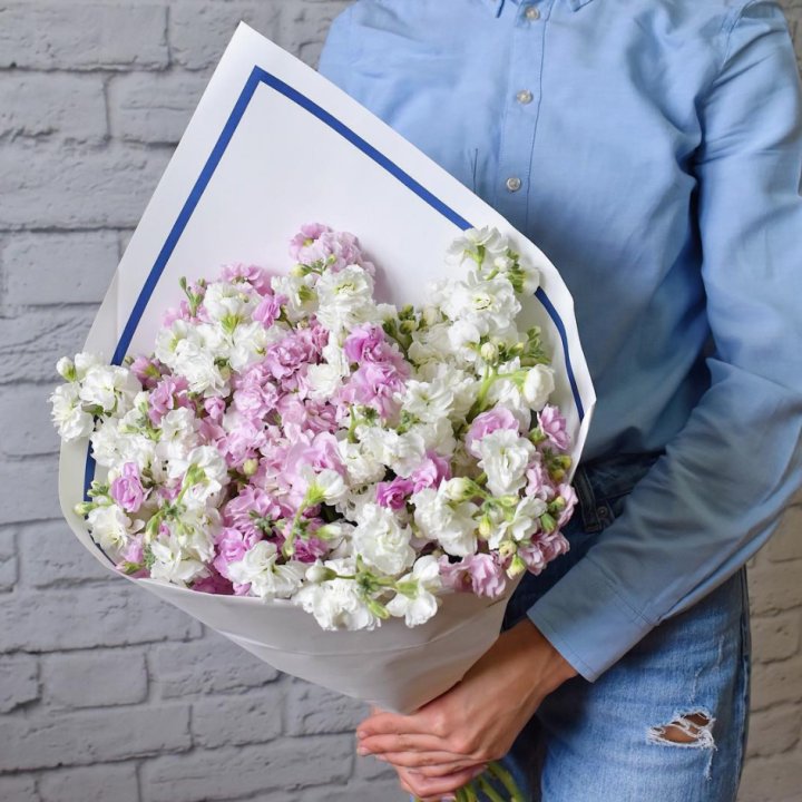 Маттиола в Мурманске