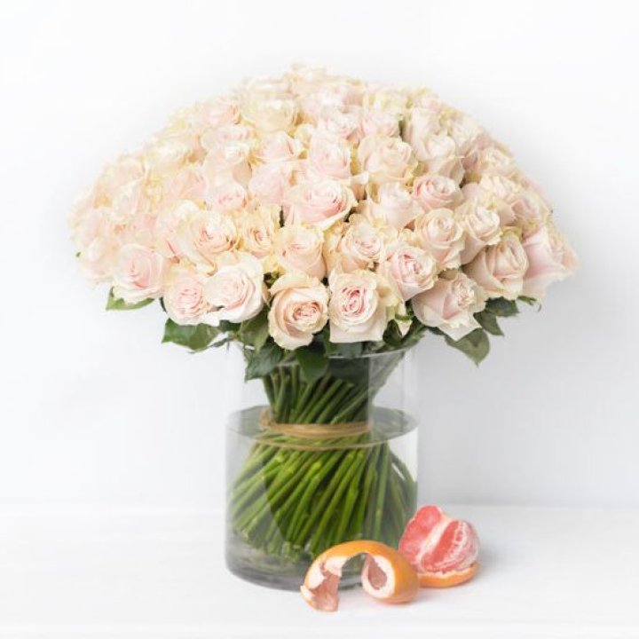 101 кремовая роза в Мурманске