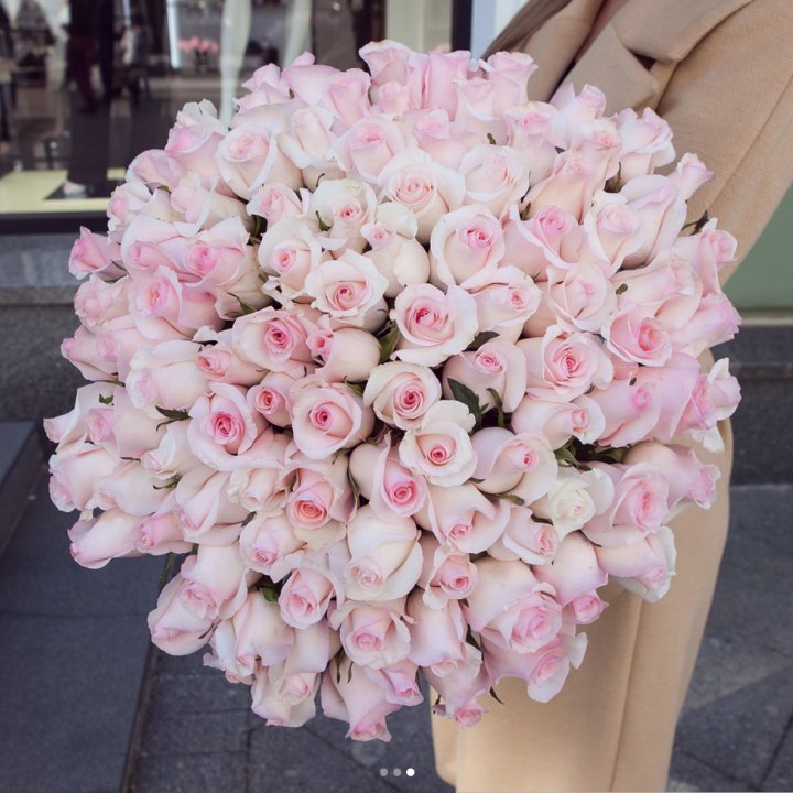 Розы "Пинк бум" в Мурманске