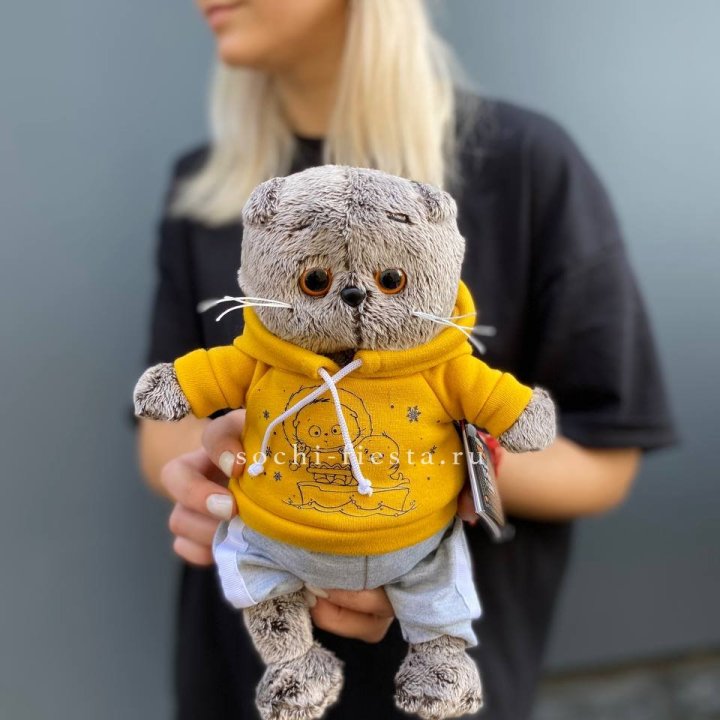 Кот Басик в худи в Мурманске