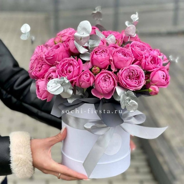 Бокс мисти баблс №2 в Мурманске