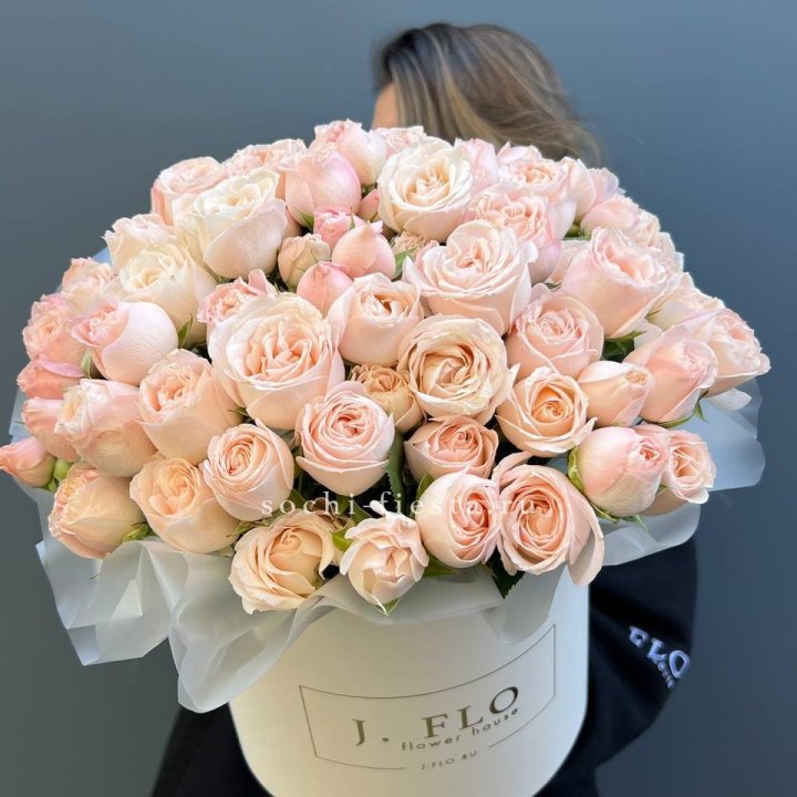 Бомбастик бокс Премьер в Мурманске