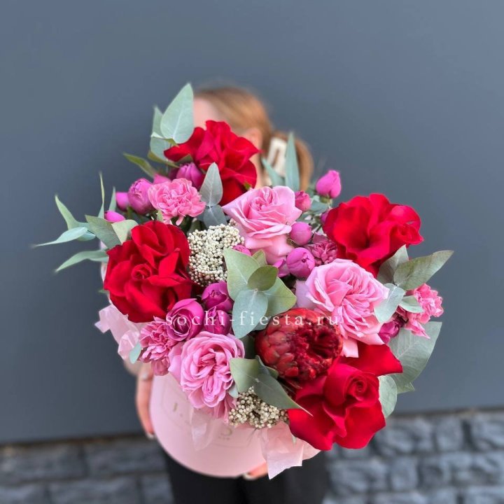  Бокс "Королева" в Мурманске