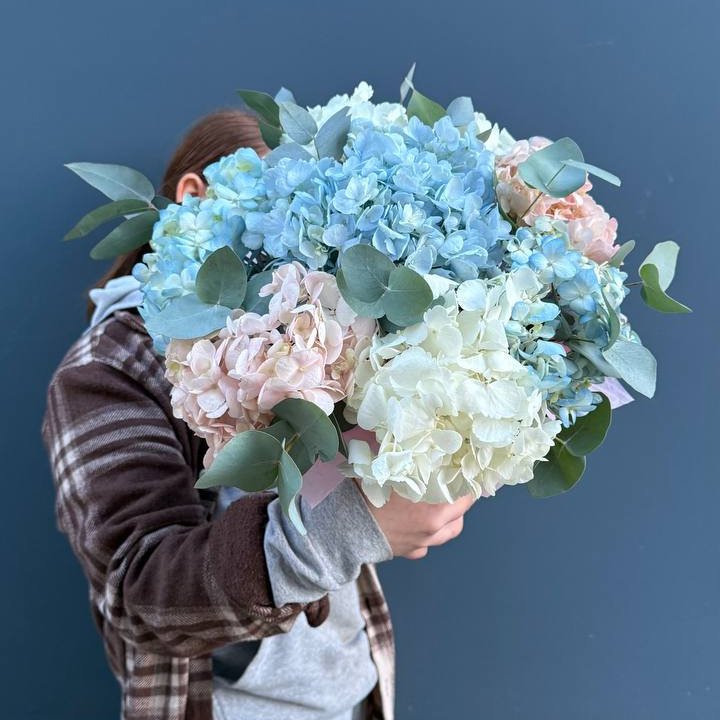 Гортензии в коробочке в Мурманске