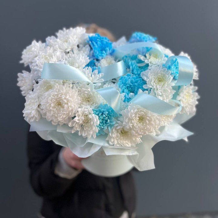 Хризнтемы в боксе в Мурманске