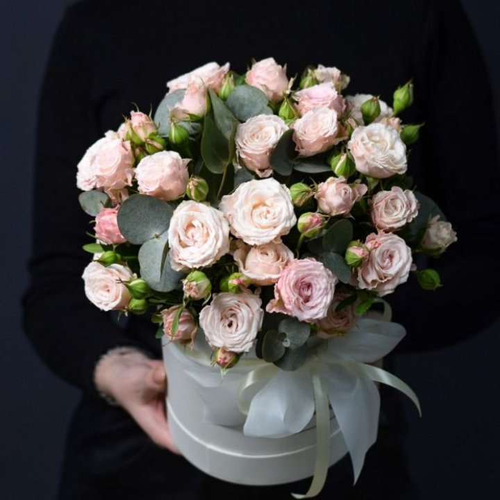 Бомбастик бокс №2 в Мурманске