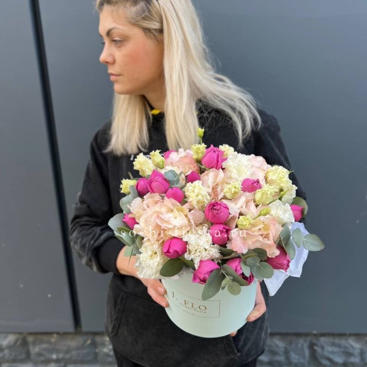 Сборный бокс премьер в Мурманске