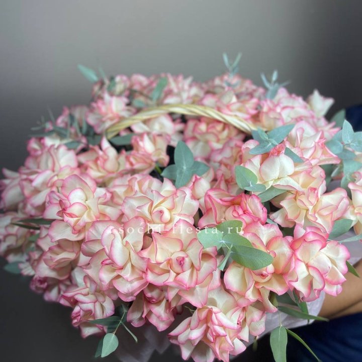 51 джумилия  в корзине   в Мурманске