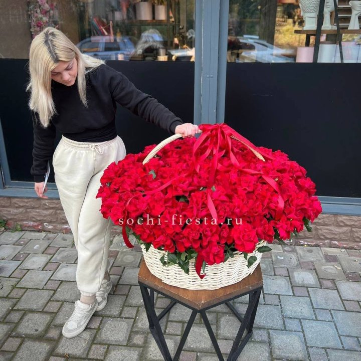 201 французская красная роза в Мурманске