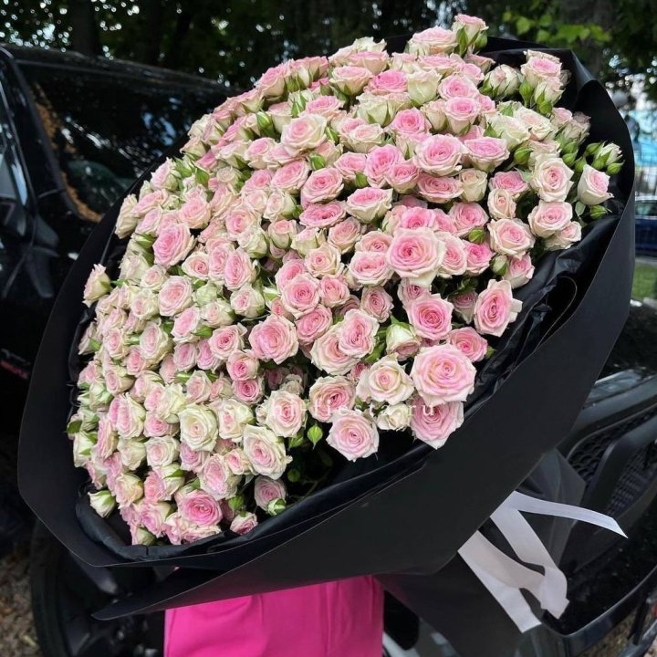 101 кустовая роза "Твистер" в Мурманске