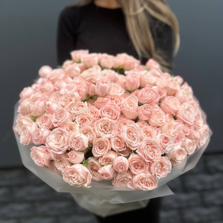 51 кустовая роза Бомбастик в Мурманске