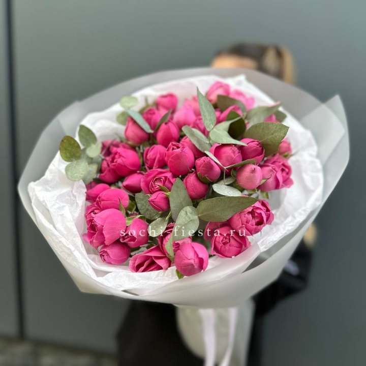 17 Мисти бабблс в Мурманске