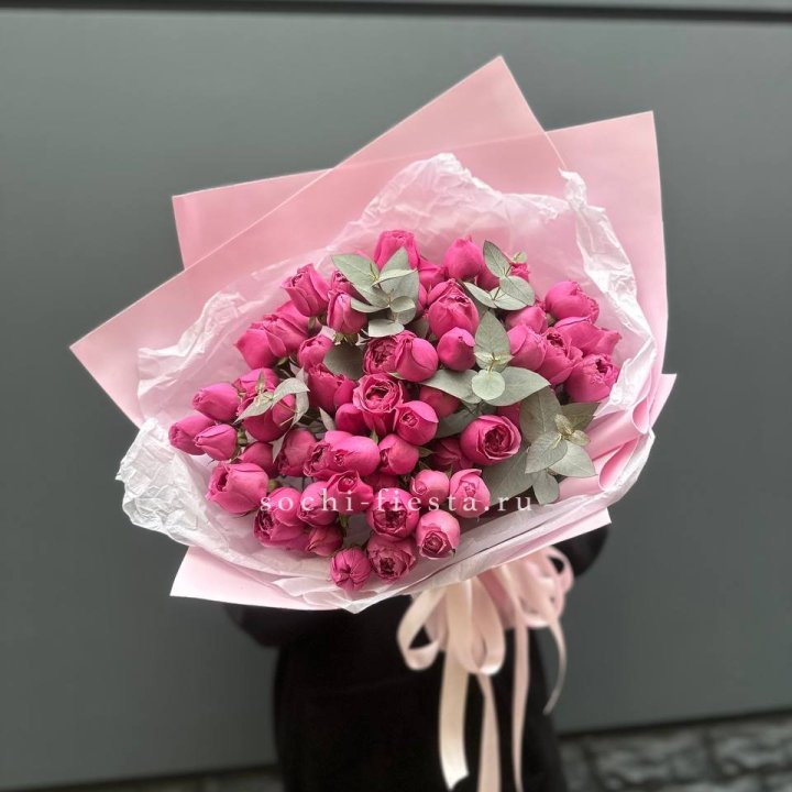 25 Мисти бабблс в Мурманске