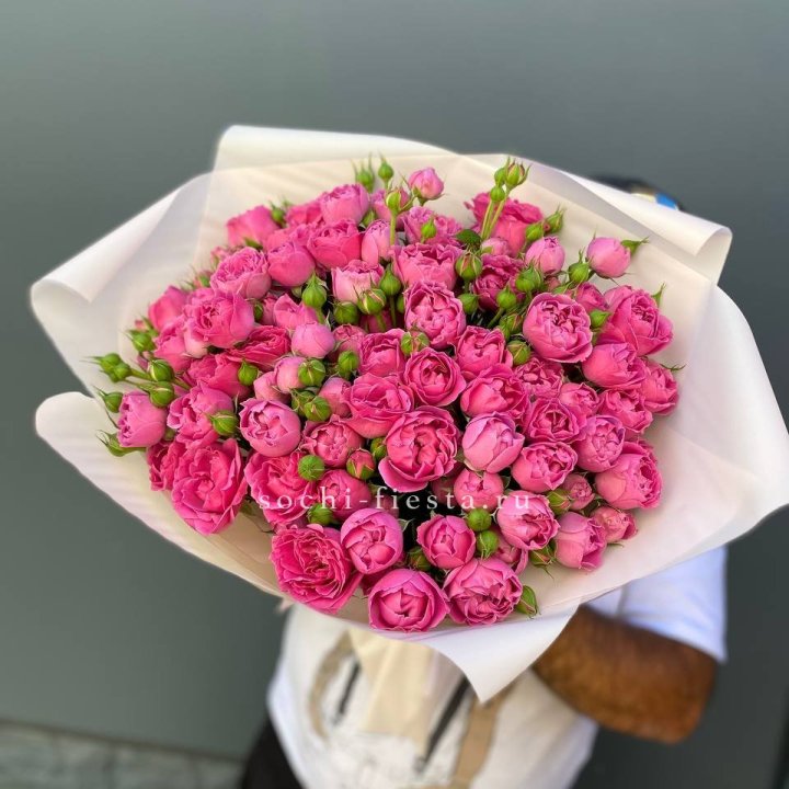 Мисти Баблс 35шт в Мурманске