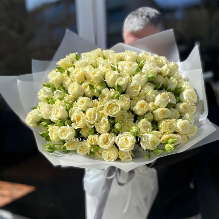 Белые кустовые розы 31 шт в Мурманске