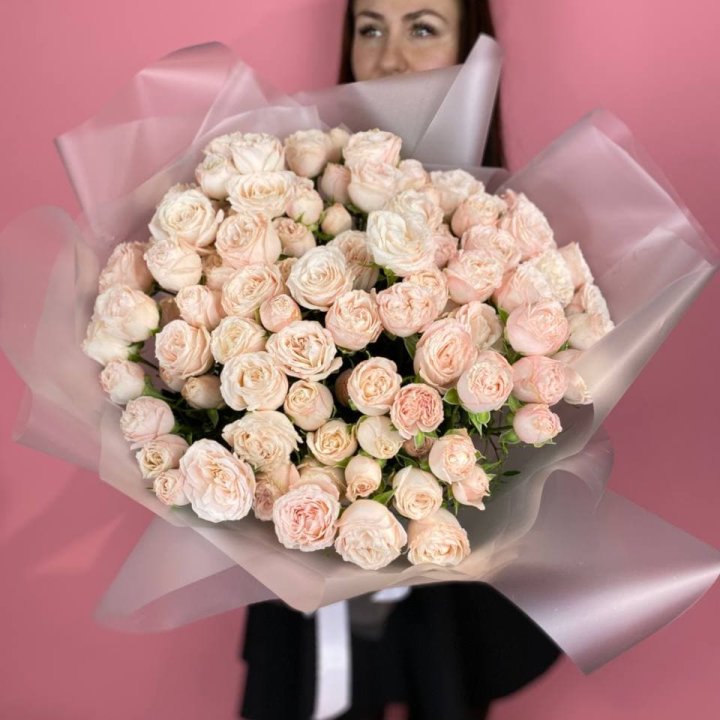 Carina в Мурманске