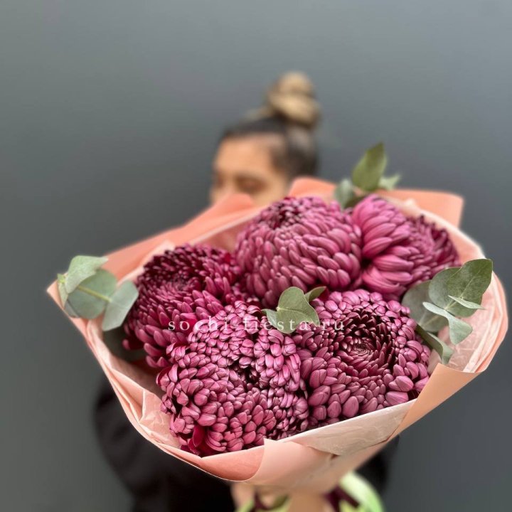 Хризантемы  Бигуди  в Мурманске