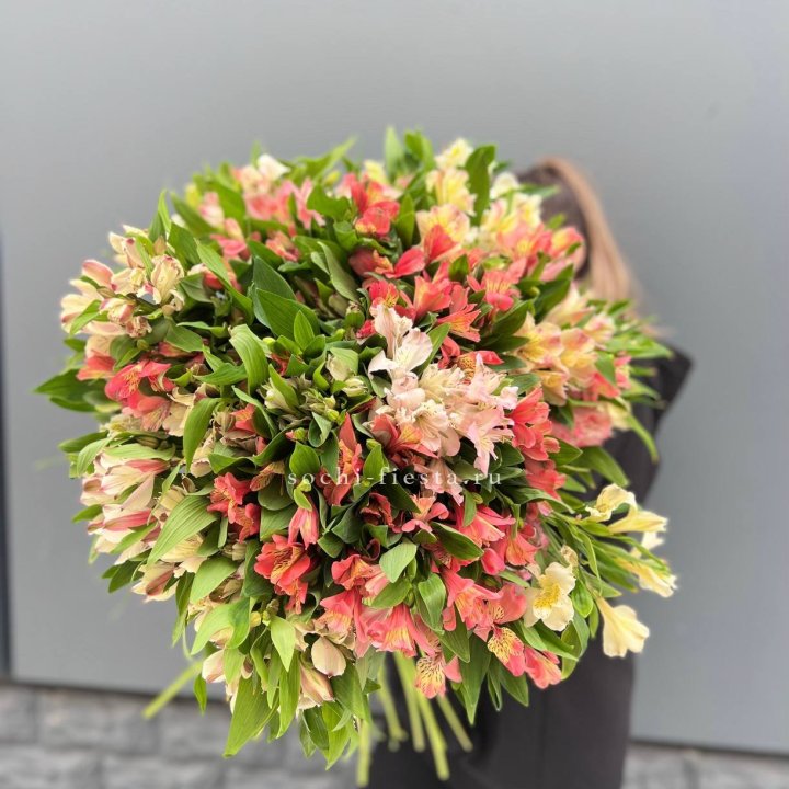 51 альстромерия в Мурманске