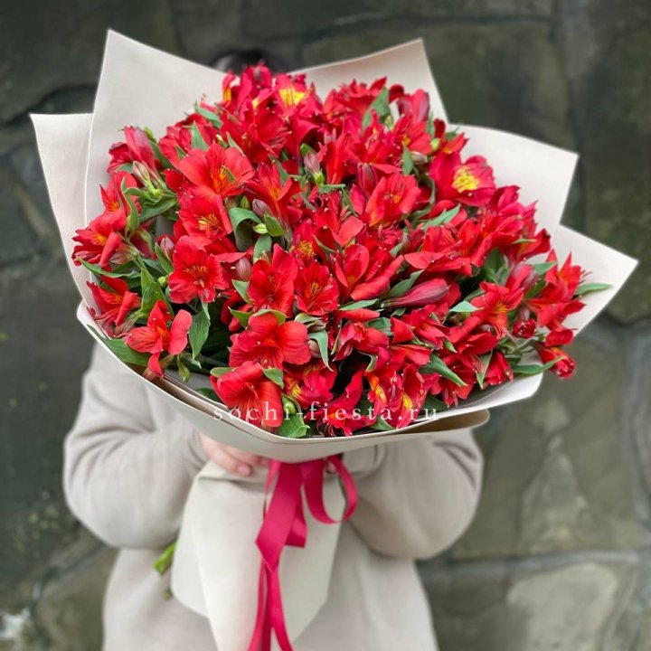 51 альстромерия в Мурманске