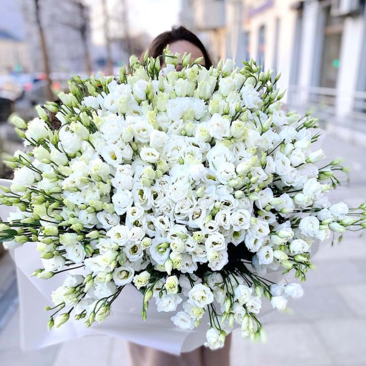 101 белая эустома в Мурманске