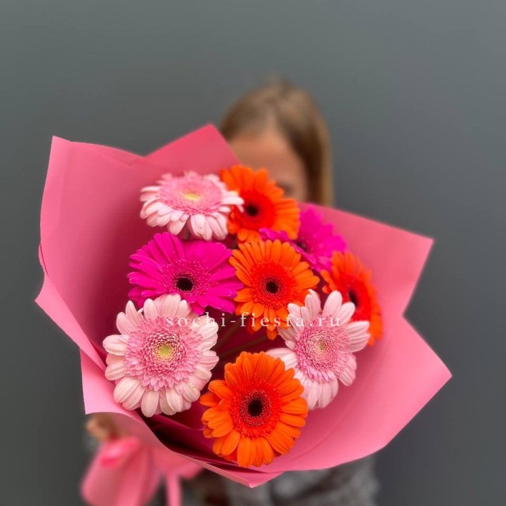 Краски в Мурманске