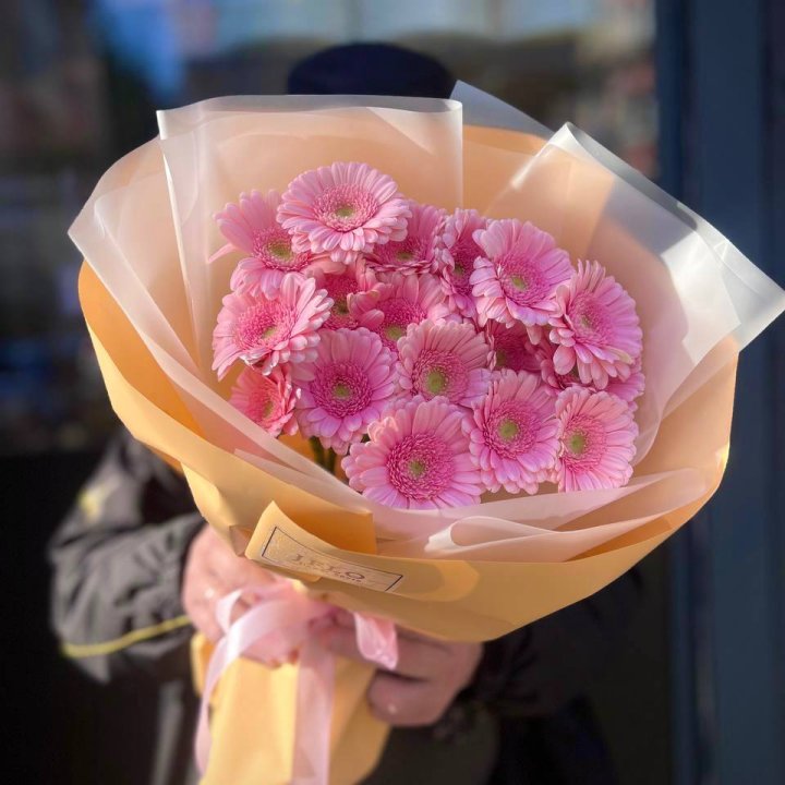 17 розовых гербер  в Мурманске