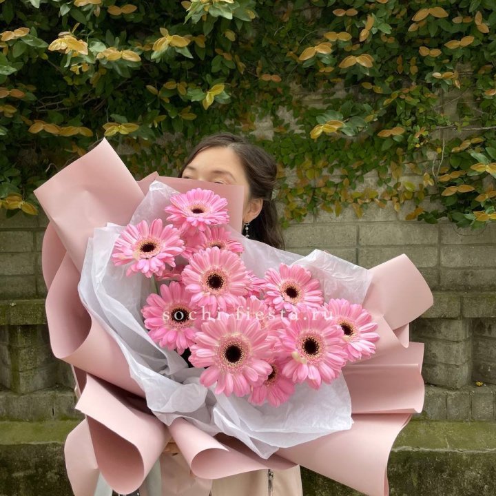 13 розовых гербер в Мурманске