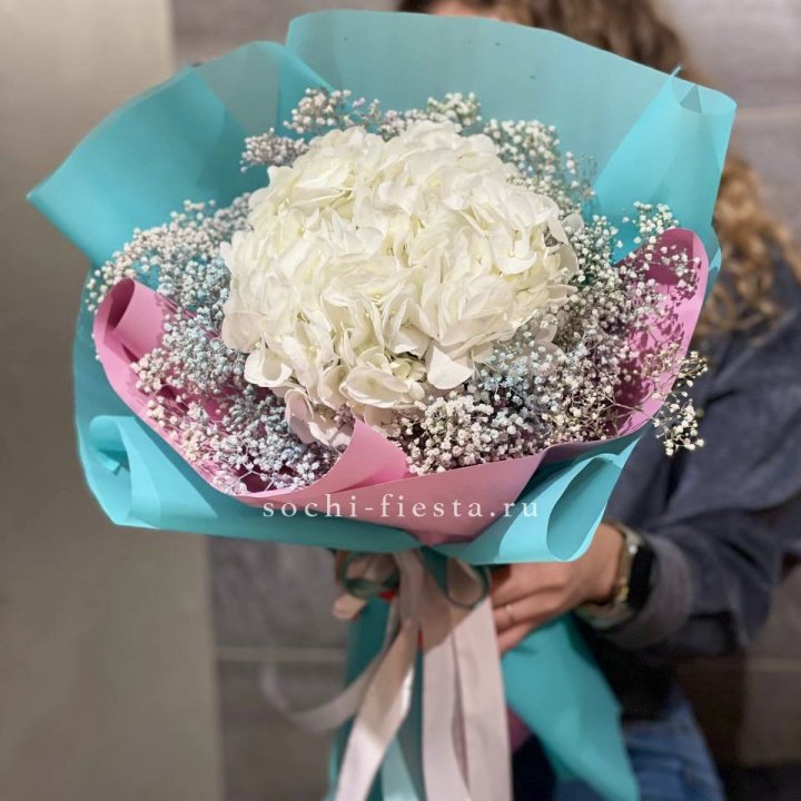 Гортензия "Райдов" в Мурманске