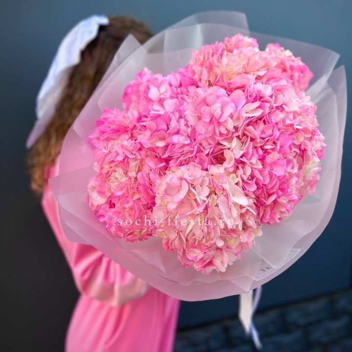 7 ярко розовых гортензий в Мурманске