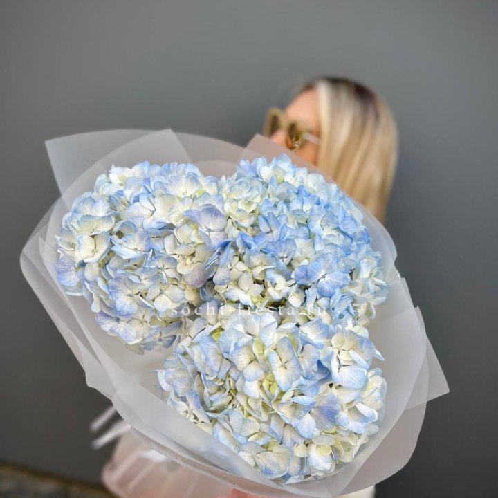 Букет из 3 голубых гортензий  в Мурманске