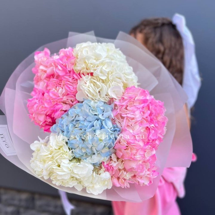 7 гортензий микс в Мурманске