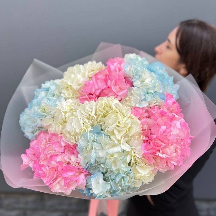 9 гортензий микс в Мурманске