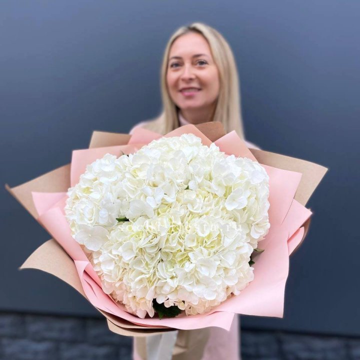 Гортензия белая в Мурманске