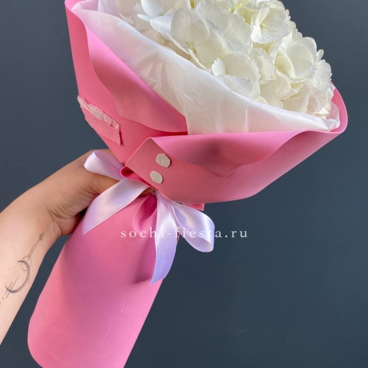 Гортензия в розовом пиджаке в Мурманске