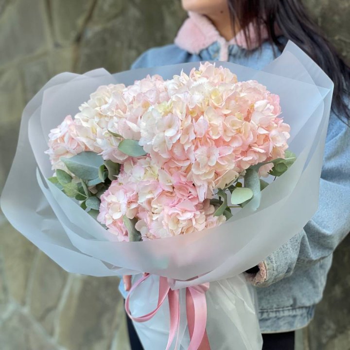 5 розовых гортензий в Мурманске