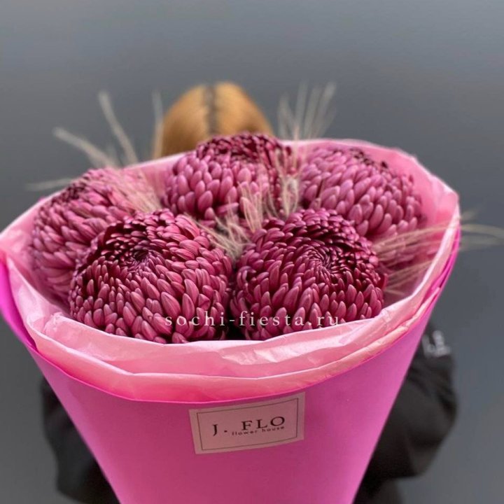 Хризантемы  Бигуди с стифой в Мурманске