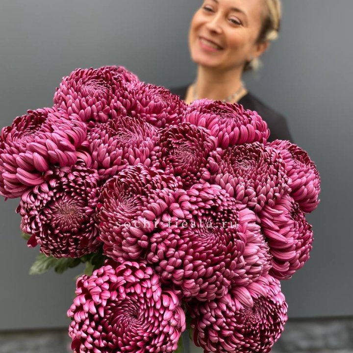 Охапка хризантем Бигуди в Мурманске