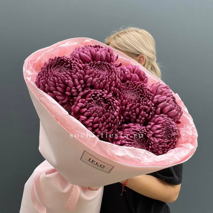 9 хризантем бигуди в Мурманске