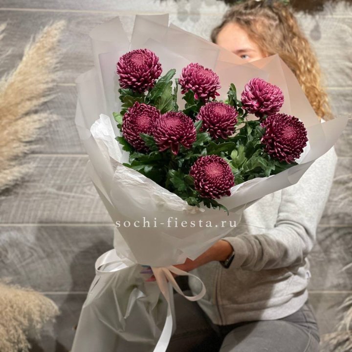 Хризантемы Бигуди в Мурманске